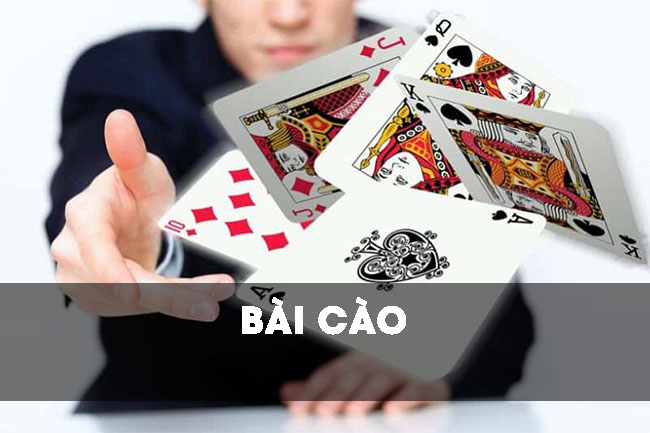 Bài cào