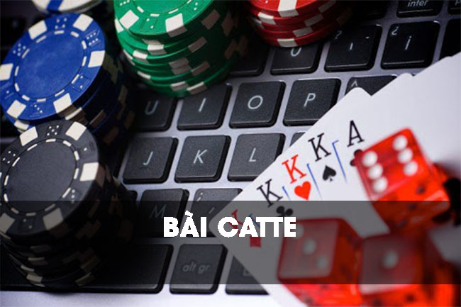Bài catte