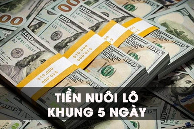 Bật mí cách vào tiền nuôi lô cặp 5 ngày chuẩn