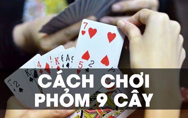 Bài phỏm 9 lá là một trò chơi dân gian có xuất xứ từ miền Bắc.