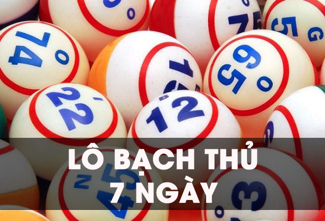 Lô nuôi 7 ngày là cách đánh lô đề mà trong đó bạn cần chọn ra con lô bạch thủ