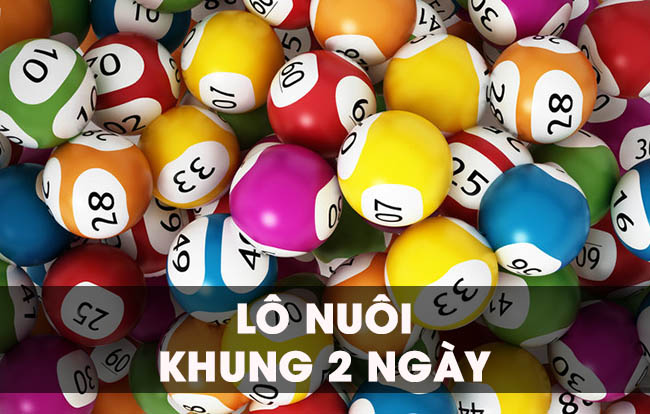 Lô nuôi khung 2 ngày là gì?