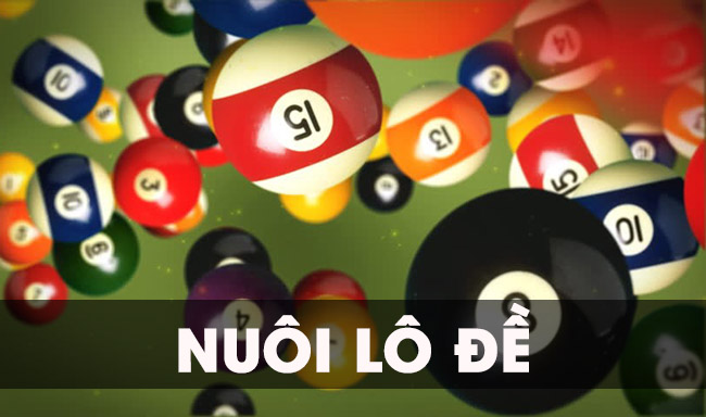 Đôi nét về nuôi lô đề