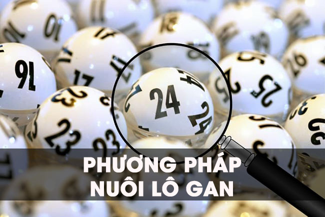 phương pháp nuôi lô gan ăn lớn