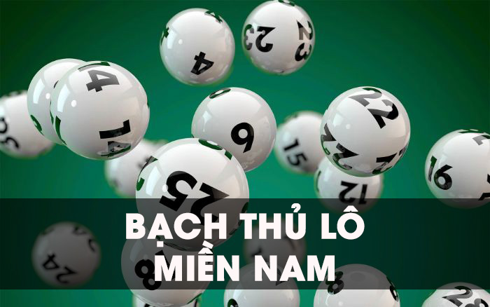 bạch thủ miền Bắc là gì?