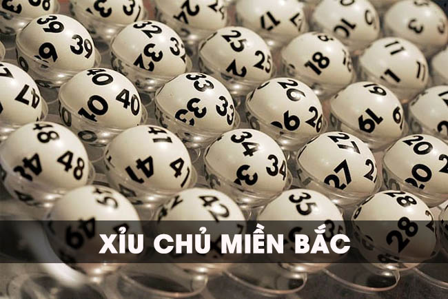 xỉu chủ miền Bắc
